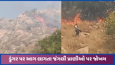 વડાલીમાં જંગલ વિસ્તાર ધરાવતા ડુંગરો પર આગ, દીપડા સહિત જંગલી પ્રાણીઓના જીવ સામે જોખમ