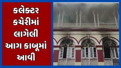 વડોદરા વીડિયો : કલેક્ટર કચેરીમાં લાગેલી આગ કાબૂમાં આવી, રેકોર્ડ રૂમમાં મૂકેલા મહત્વના દસ્તાવેજ બળીને ખાખ