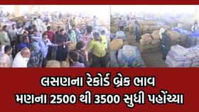 સૌરાષ્ટ્રના ખેડૂતોને મણ લસણ પર મળ્યા 2500થી લઇ 3500 ભાવ સૌરાષ્ટ્રના ખેડૂતોને મણ લસણ પર મળ્યા 2500થી લઇ 3500 ભાવ