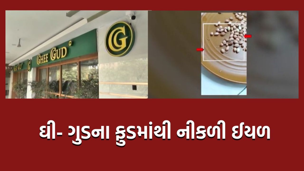 અમદાવાદની નામાંકિત ઘી-ગુડ રેસ્ટોરન્ટની બેદરકારી, બહારથી મગાવેલા