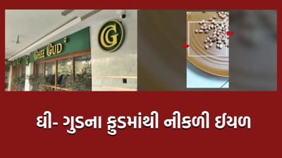 અમદાવાદની નામાંકિત ઘી-ગુડ રેસ્ટોરન્ટની બેદરકારી, બહારથી મગાવેલા સિંગદાણામાં ઈયળ નીકળી હોવાનો મેનેજરનો દાવો-વીડિયો