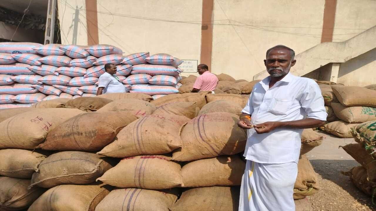 જામનગરના હાપા માર્કેટીંગ યાર્ડ દિવાળીની રજા બાદ લાભ પાંચમના દિવસે યાર્ડ શરૂ થયુ. 18 તારીખે લાભપાંચમના દિવસે મગફળીની આવક શરૂ થતાની સાથે નવી આવક પર પ્રતિબંધ મુકવામાં આવ્યો હતો. ત્યારે મગફળીની કુલ 16000થી વધુ ગુણીની આવક થઈ હતી. ફરી ચાર દિવસ બાદ યાર્ડમાં 21000 મગફળીની ગુણની આવક થતા જગ્યાના અભાવે નવી મગફળીની આવક પર રોક લગાવવામાં આવી.