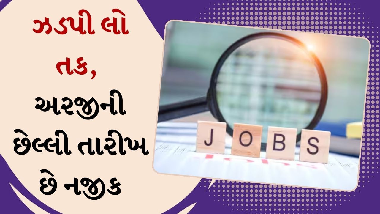 ગુજરાતમાં 10 પાસ માટે નીકળી સરકારી નોકરી, 30 નવેમ્બર છે છેલ્લી તારીખ, ઝડપી લો તક