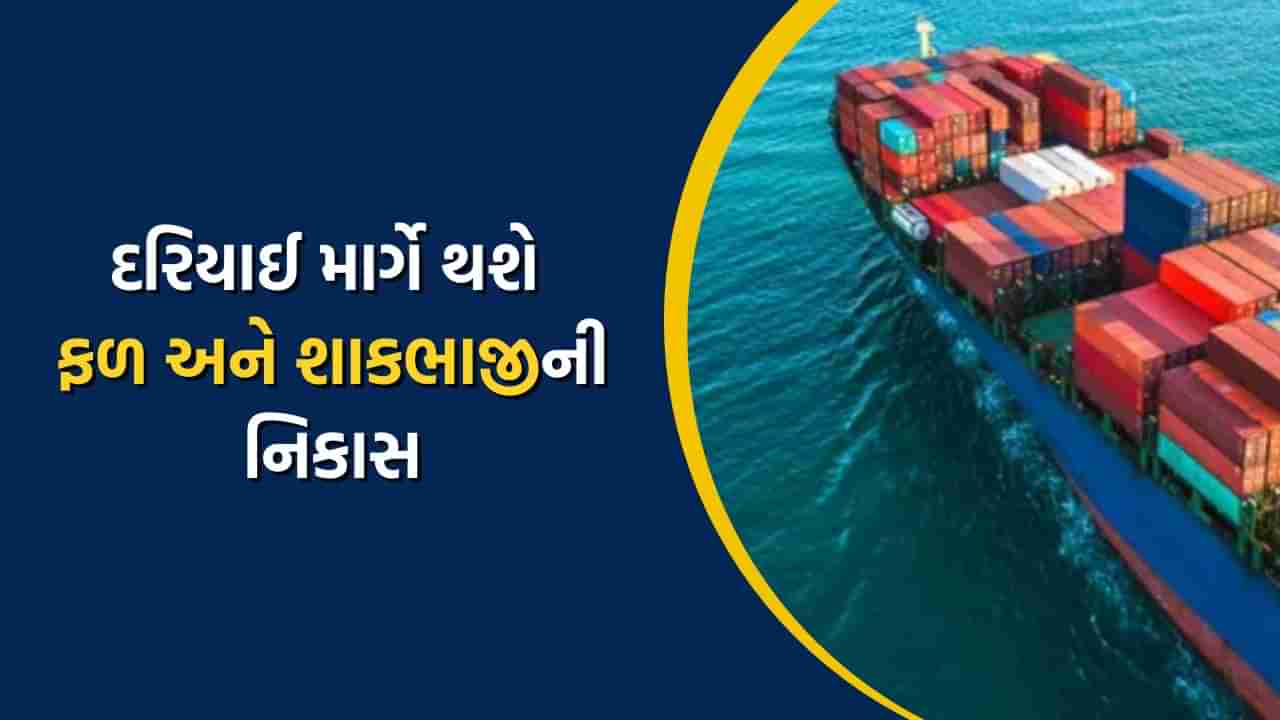 ખેડૂતો માટે સારા સમાચાર, દરિયાઈ માર્ગે થશે ફળ અને શાકભાજીની નિકાસ, થશે ડબલ ફાયદો