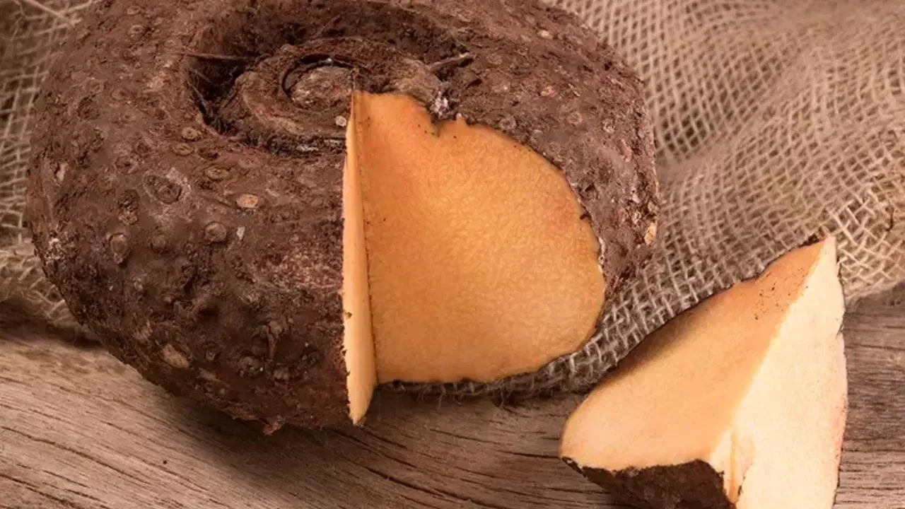 હેલ્થ એક્સપર્ટ્સનું કહેવું છે કે કબજિયાત દૂર કરવા દવાઓ લેવાની સાથે સાથે ડાયટનું પણ ધ્યાન રાખવું જરૂરી છે. ખાસ કરીને કબજિયાતની સમસ્યામાં જીમીકંદ(સૂરણ)નું શાક અવશ્ય સામેલ કરો. આનાથી કબજિયાતની સમસ્યાથી ઘણી હદ સુધી બચી શકાય છે. ચાલો જાણીએ જીમિકંદ(સૂરણ)નું શાક કેવી રીતે ફાયદાકારક છે.