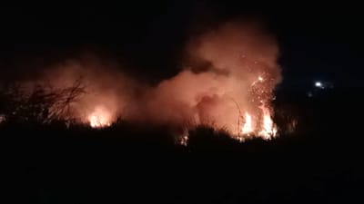 અંકલેશ્વરના કાગદી તળાવ વિસ્તારમાં આગ લાગી, બે ફાયર બ્રિગેડે સ્થિતિ પર કાબુ મેળવ્યો અંકલેશ્વરના કાગદી તળાવ વિસ્તારમાં આગ લાગી, બે ફાયર બ્રિગેડે સ્થિતિ પર કાબુ મેળવ્યો