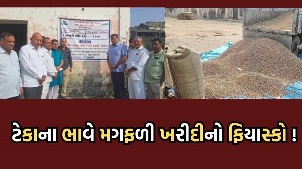 ગીર સોમનાથ: કોડિનારમાં ટેકાના ભાવે મગફળી ખરીદીને નીરસ પ્રતિસાદ, પ્રથમ દિવસે આવ્યા માત્ર 10 ખેડૂત- જુઓ વીડિયો