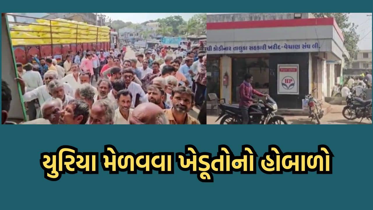 ગીરસોમનાથ: કોડિનારમાં યુરિયા ખાતર માટે હોબાળો, પોલીસ બોલાવવી પડી, ખેડૂતોનો રોષ થયો વીડિયોમાં કેદ