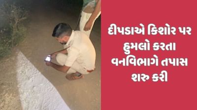 વડાલી વિસ્તારમાં ચાલુ બાઈક પર દીપડાએ હુમલો કર્યો, 12 વર્ષના કિશોરને નખ ભર્યા વડાલી વિસ્તારમાં ચાલુ બાઈક પર દીપડાએ હુમલો કર્યો, 12 વર્ષના કિશોરને નખ ભર્યા