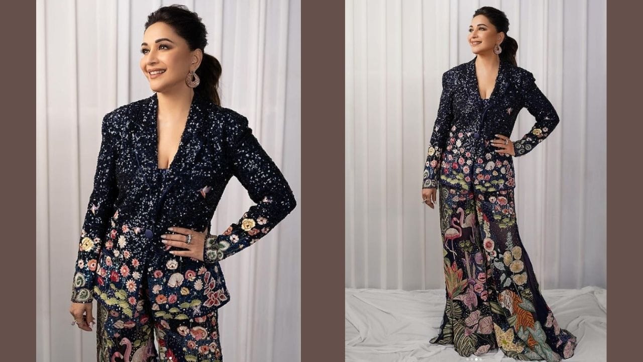 માધુરી દીક્ષિત સોશિયલ મીડિયા પર હંમેશા એક્ટિવ રહે છે. અભિનેત્રીની સોશિયલ મીડિયા પર પણ મોટી ફેન ફોલોઈંગ છે.
