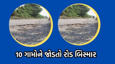 ભાવનગર: મહુવાના કમર તોડ રસ્તાથી વાહનચાલકો પરેશાન, ઉમણિયાવદર ગામથી 10 ગામને જોડતો રસ્તો બિસ્માર- વીડિયો ભાવનગર: મહુવાના કમર તોડ રસ્તાથી વાહનચાલકો પરેશાન, ઉમણિયાવદર ગામથી 10 ગામને જોડતો રસ્તો બિસ્માર- વીડિયો