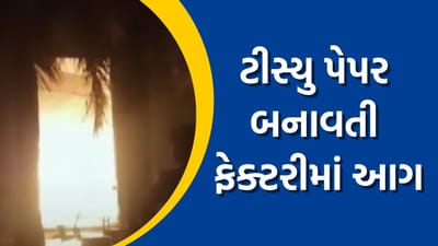 વલસાડમાં ટીસ્યુ પેપર બનાવતી ફેક્ટરીમાં આગ, મોટાપાયે થયું નુકસાન, જુઓ વીડિયો