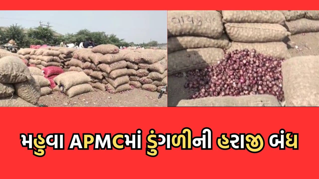 ભાવનગર: મહુવા એપીએમસીમાં ડુંગળીની હરાજી બંધ, એક કટ્ટામાં 500 ગ્રામ વજન કપાતને લઈને વેપારીઓ, ખેડૂતોમાં રોષ