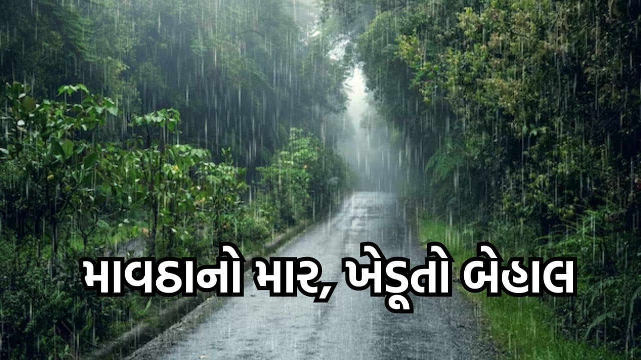 પંચમહાલ વીડિયો : ઘોઘંબા તાલુકાના પૂર્વ વિસ્તારમાં કમોસમી વરસાદ, ખેડૂતોને પાકમાં નુકસાન થવાની ચિંતા