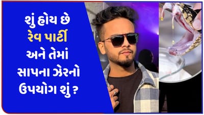 એલ્વિશ યાદવ પર જે મામલે લાગ્યા આરોપ તે રેવ પાર્ટી શું છે? સાપના ઝેરનો તેમાં કેમ અને કેવી રીતે થાય છે ઉપયોગ