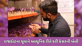 રાજકોટનો યુવાન આધુનિક પદ્ધતિથી કેસરની ખેતી કરી કરે છે કમાણી રાજકોટનો યુવાન આધુનિક પદ્ધતિથી કેસરની ખેતી કરી કરે છે કમાણી