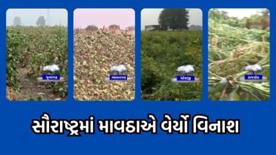 સમગ્ર સૌરાષ્ટ્રમાં માવઠા સ્વરૂપે આવેલા વરસાદે વેર્યો વિનાશ, ખેતરમાં ઉભો પાક થઈ ગયો સાફ- વીડિયો