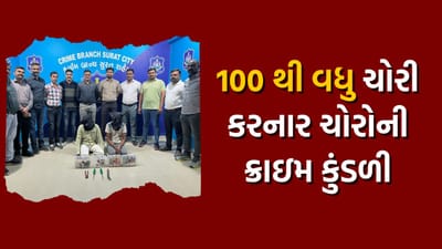 આ ચોર ગેંગની ક્રાઇમ કુંડળી કોઈ ફિલ્મ થી ઓછી નથી, ચોરી કરવામાં ફટકારી સદી, જાણો સમગ્ર વિગત
