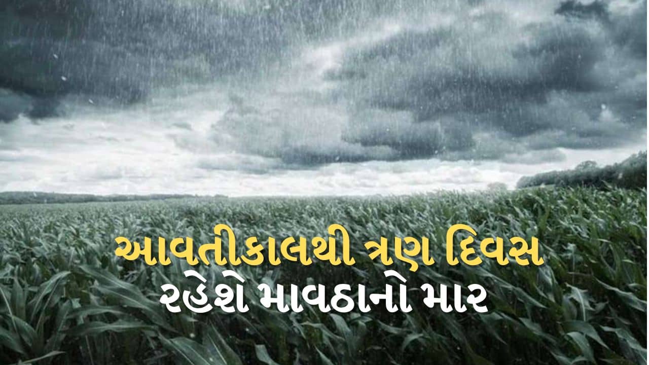 વીડિયો : આવતીકાલથી ત્રણ દિવસ મધ્ય અને દક્ષિણ ગુજરાતને ધમરોળશે વરસાદ, ખેડૂતો ચિંતામાં મુકાયા