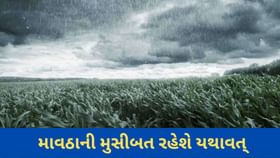 ગુજરાતમાં કડકડતી ઠંડી સાથે છુટોછવાયો વરસાદ પણ પડશે. ગુજરાતમાં કડકડતી ઠંડી સાથે છુટોછવાયો વરસાદ પણ પડશે.