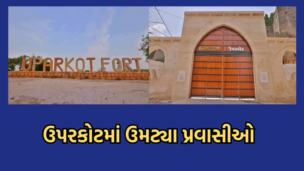 જુનાગઢ: દિવાળીના તહેવારોની રજા માણવા ઉપરકોટ, ગીરનારમાં ઉમટ્યા પ્રવાસીઓ, જુઓ વીડિયો