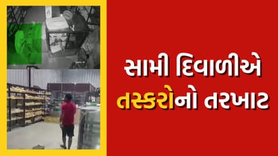 વલસાડના ઉદવાડામાં 5 દુકાનમાં તસ્કરોનો તરખાટ, ઘટના CCTVમાં કેદ