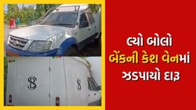 બેન્કની કેશ વેનમાં દારૂની હેરાફેરી કરતો શખ્સ ઝડપાયો બેન્કની કેશ વેનમાં દારૂની હેરાફેરી કરતો શખ્સ ઝડપાયો