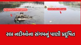 સાત નદીઓના સંગમમાં પ્રદૂષિત પાણીના દૃશ્યો આવ્યા સામે- વીડિયો સાત નદીઓના સંગમમાં પ્રદૂષિત પાણીના દૃશ્યો આવ્યા સામે- વીડિયો