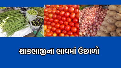 રાજકોટવાસીઓની ફિક્કી પડશે ઉંધિયાની રંગત, શિયાળાની શરૂઆતમાં જ શાકભાજીના ભાવમાં 20 થી 30 ટકાનો ઉછાળો- વીડિયો