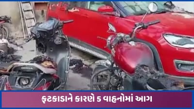 પાલનપુરમાં ફટાકડાને કારણે શેડમાં પાર્ક કરેલ 5 વાહનોમાં આગ લાગી, થયુ મોટું નુક્સાન, જુઓ