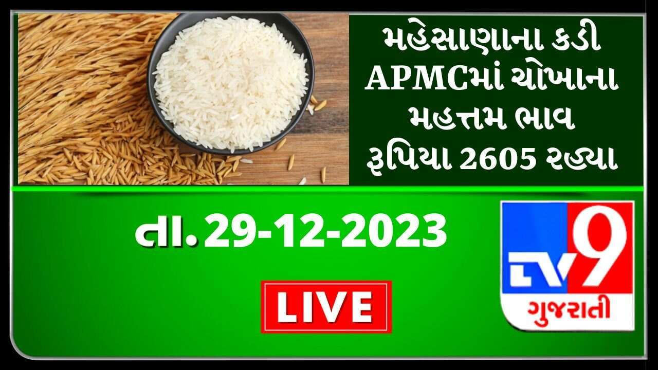 મહેસાણાના કડી APMCમાં ચોખાના મહત્તમ ભાવ રૂપિયા 2605 રહ્યા, જાણો જુદા-જુદા પાકના ભાવ