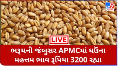Mandi : ભરૂચની જંબુસર APMCમાં ઘઉંના મહત્તમ ભાવ રૂપિયા 3200 રહ્યા, જાણો જુદા-જુદા પાકના ભાવ