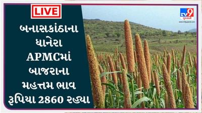 બનાસકાંઠાના ધાનેરા APMCમાં બાજરાના મહત્તમ ભાવ રૂપિયા 2860 રહ્યા, જાણો જુદા-જુદા પાકના ભાવ બનાસકાંઠાના ધાનેરા APMCમાં બાજરાના મહત્તમ ભાવ રૂપિયા 2860 રહ્યા, જાણો જુદા-જુદા પાકના ભાવ