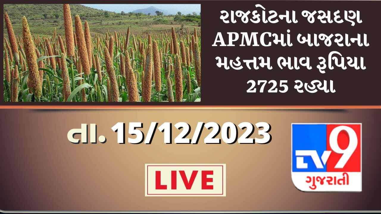 રાજકોટના જસદણ APMCમાં બાજરાના મહત્તમ ભાવ રૂપિયા 2725 રહ્યા, જાણો જુદા-જુદા પાકના ભાવ