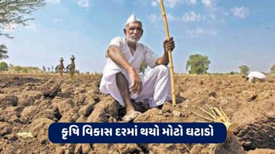 છેલ્લા ચાર વર્ષમાં કૃષિ વિકાસ દરમાં થયો સૌથી મોટો ઘટાડો, જાણો શું છે કારણ