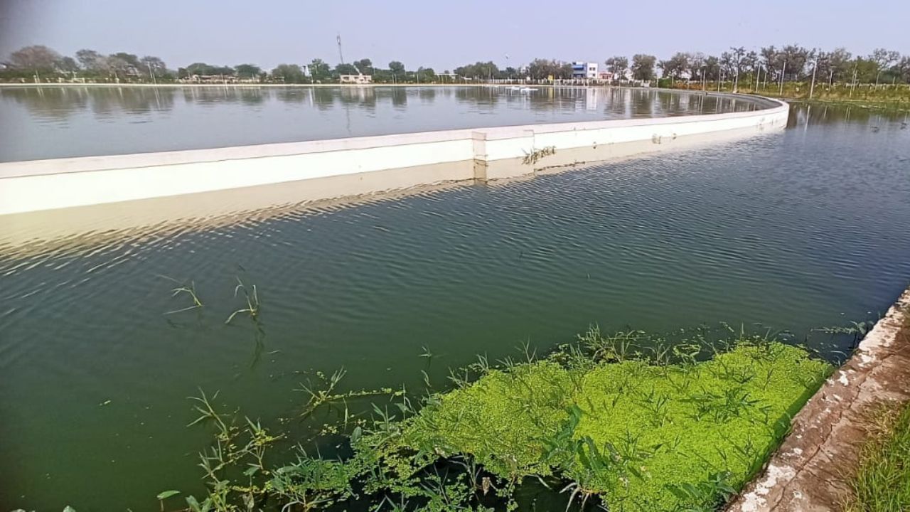 કરોડો રૂપિયાનો ખર્ચ કરી તૈયાર કરવામાં આવેલ તળાવમાં ડ્રેનેજ અને કેમિકલનું પાણી ભરાતા અનેક સવાલો ઉઠ્યા છે. જવાબદાર કોર્પોરેશનના અધિકારી સામે પગલાં ક્યારે લેવાશે.