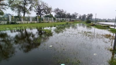 ડ્રેનેજ અને કેમિકલના પાણીથી લાંભા ગામનું તળાવ ઓવરફ્લો થતાં તળાવની ફરતે વોકવે તેમજ તેની બહાર ગટરના પાણી ફરી વળ્યા છે. તળાવની ફરતે બગીચામાં પણ ગટરના પાણી ફરી વળ્યા છે.