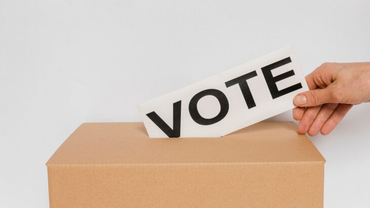 આ સિવાય ઈટાલી, સ્લોવાકિયા અને લક્ઝમબર્ગમાં ચૂંટણીના 7 દિવસ પહેલા કોઈપણ પ્રકારના ઓપિનિયન પોલ અથવા એક્ઝિટ પોલ પર પ્રતિબંધ છે. (Image - Freepik)