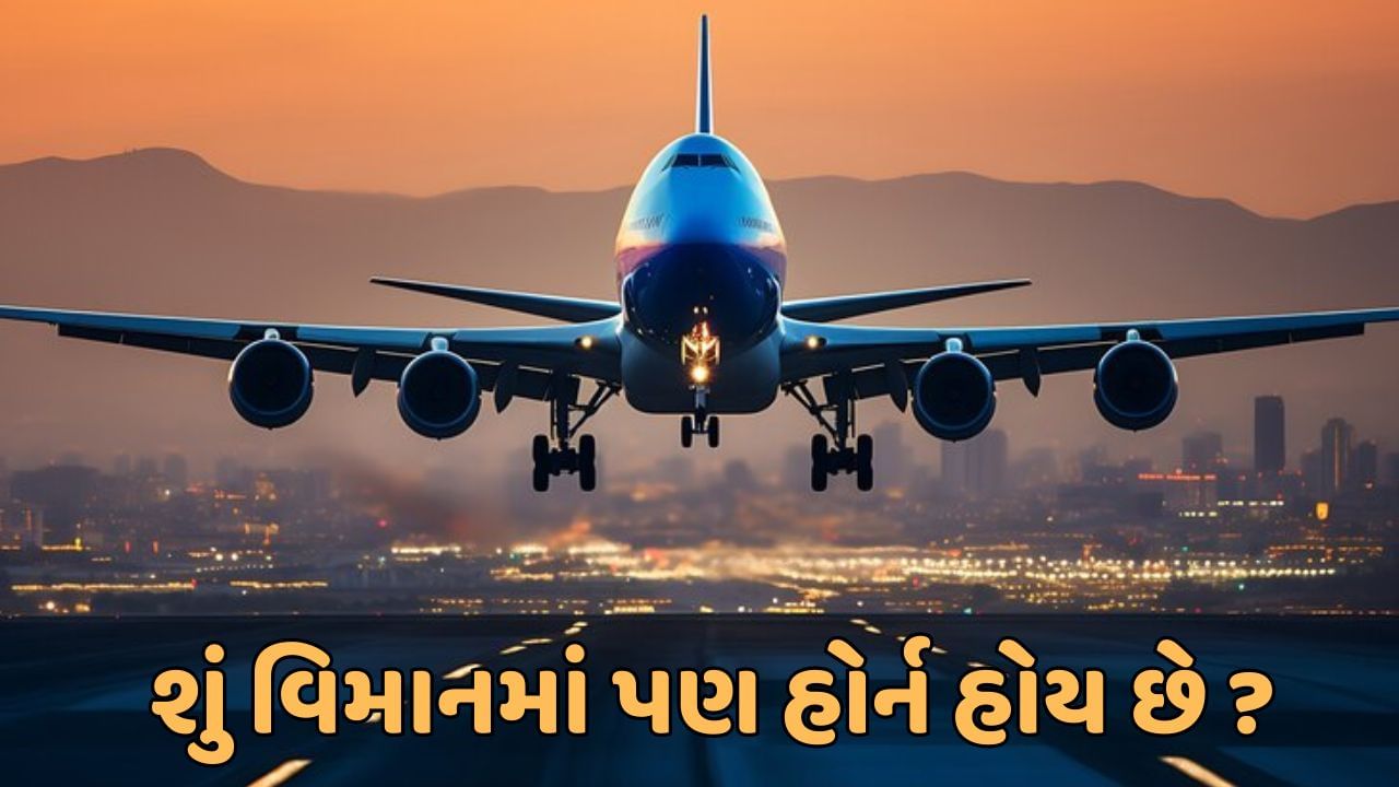 શું વિમાનમાં પણ હોર્ન હોય છે ? જો હા, તો જાણો તેને ક્યારે વગાડવામાં આવે