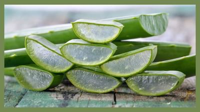 જો તમે તમારા ચહેરા પર એક મહિના સુધી એલોવેરા જેલ લગાડો છો જાણો શું થશે ?