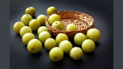 આમળા વિટામિન સીનો ઉત્તમ સ્ત્રોત છે, આમળા શરીરની રોગપ્રતિકારક શક્તિને મજબૂત બનાવે છે, તે પાચન સ્વાસ્થ્ય માટે પણ ખૂબ ફાયદાકારક છે. તે ત્વચા અને વાળને સુંદર બનાવવા માટે પણ જાણીતું છે. શિયાળાની ઋતુમાં આમળાના આ ગુણોનો લાભ લેવા આમળાની વિવિધ રેસીપીનો પણ ઉપયોગ કરી શકો છો. આમળામાં વિટામિન હોય છે. આ સાથે આમળામાં કેલ્શિયમ, ફોલેટ, એન્ટી-ઓક્સીડેન્ટ, ફાઈબર, આયર્ન, કાર્બ્સ, ફોસ્ફરસ, ઓમેગા 3 અને મેગ્નેશિયમ પણ ભરપૂર માત્રામાં હોય છે. તેનાથી તમારા સ્વાસ્થ્યને ઘણી રીતે ફાયદો થઈ શકે છે.