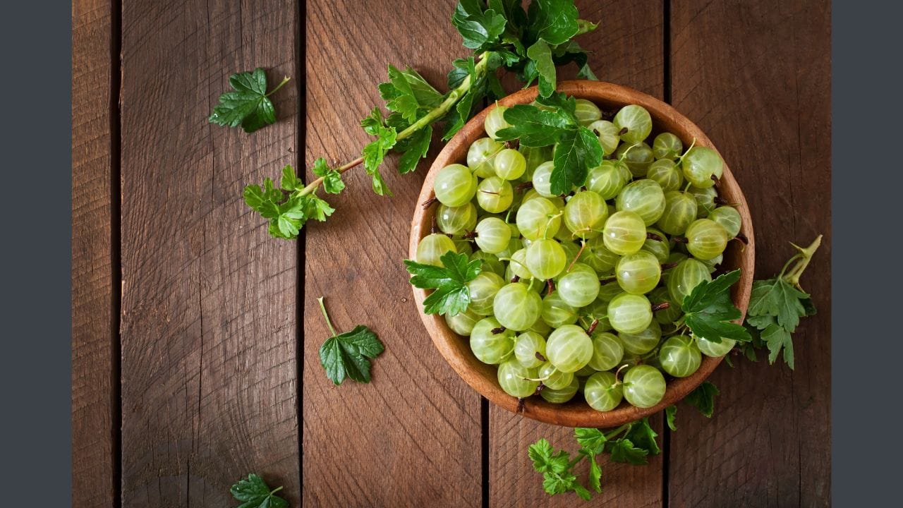  આમળા આંખો માટે ખૂબ જ ફાયદાકારક છે. આમળા આંખોનું તેજ વધારે છે, અને આંખોને સ્વસ્થ રાખે છે