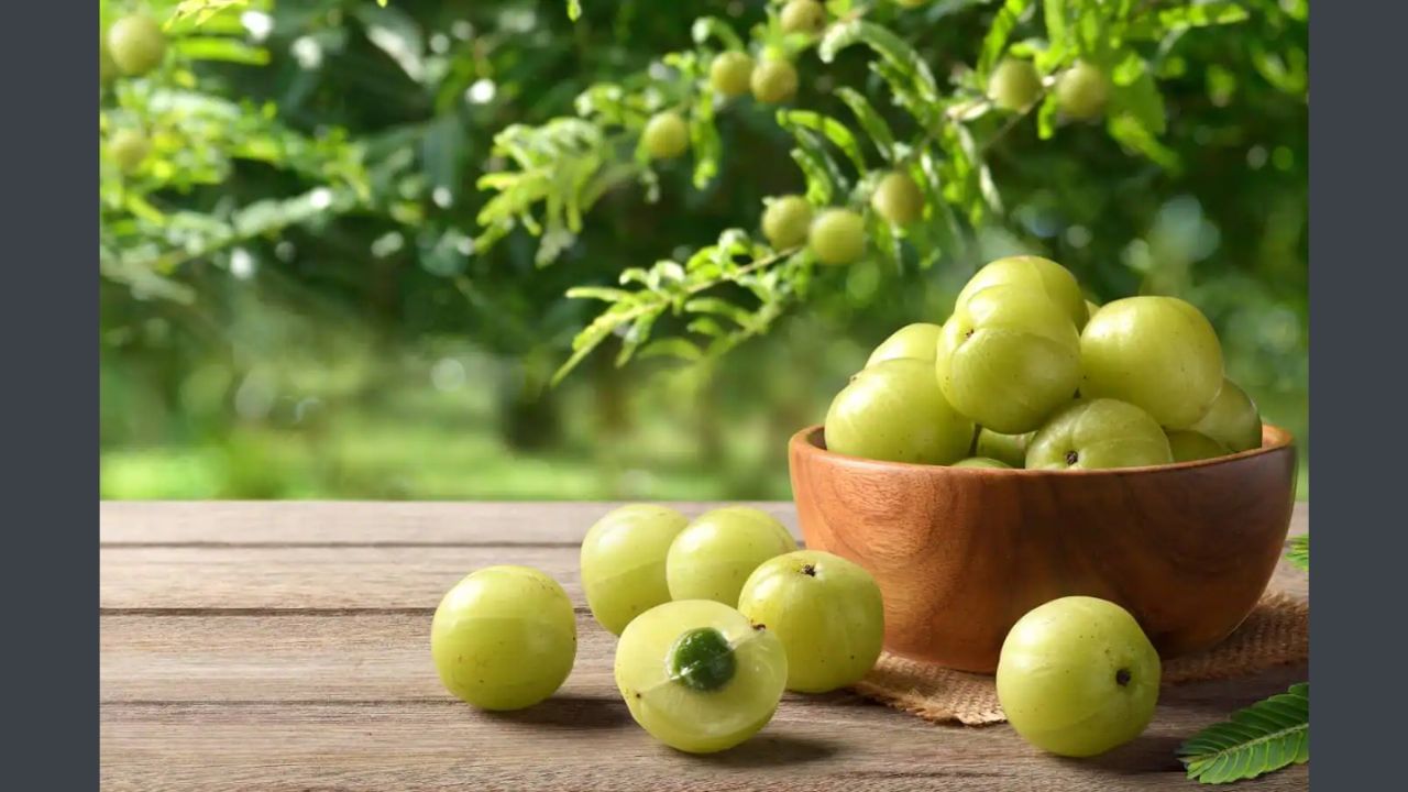 સારી પાચનક્રિયા માટે ખાઓઃ આમળા તમારી પાચનક્રિયા માટે પણ ખૂબ જ સારી છે. તે સારું પાચન, ગેસ અને કબજિયાતની સમસ્યાથી રાહત આપે છે.