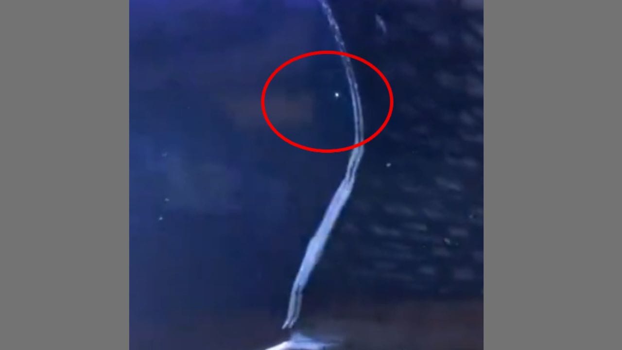 ફટકારી મેકડર્મોટ બોલને બીજી દિશામાં મારવા જતો હતો અને બોલ બીજી દિશામાં ગયો અને તેને સિક્સ ફટકારી.