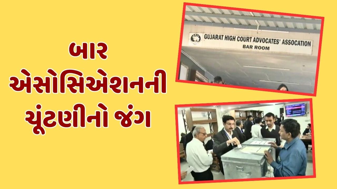 વીડિયો ગુજરાતના તમામ બાર એસોસિએશનની ચૂંટણી, પ્રમુખ, ઉપપ્રમુખ અને