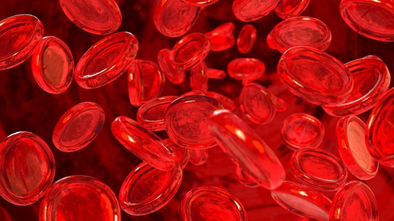 જ્યારે વ્યક્તિના શરીરમાં આ તત્વોની ઉણપ હોય છે, ત્યારે તેનું શરીર વાદળી દેખાવા લાગે છે. આપણા શરીરમાં લોહીનું પૂરતું પ્રમાણ હોવું ખૂબ જ જરૂરી છે અને તેની ઉણપને કારણે ગંભીર પરિસ્થિતિનો સામનો કરવો પડી શકે છે. (Image - Freepik)