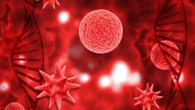 લોહી એ આપણા શરીરનું સૌથી મહત્વપૂર્ણ તત્વ છે, જે કોષોને ઓક્સિજન પહોંચાડવાનું કામ કરે છે. લોહી વિના કોઈ પણ વ્યક્તિ જીવી શકતી નથી. શું તમારા મનમાં ક્યારેય આ પ્રશ્ન આવ્યો છે કે લોહીનો રંગ લાલ જ કેમ હોય છે ?