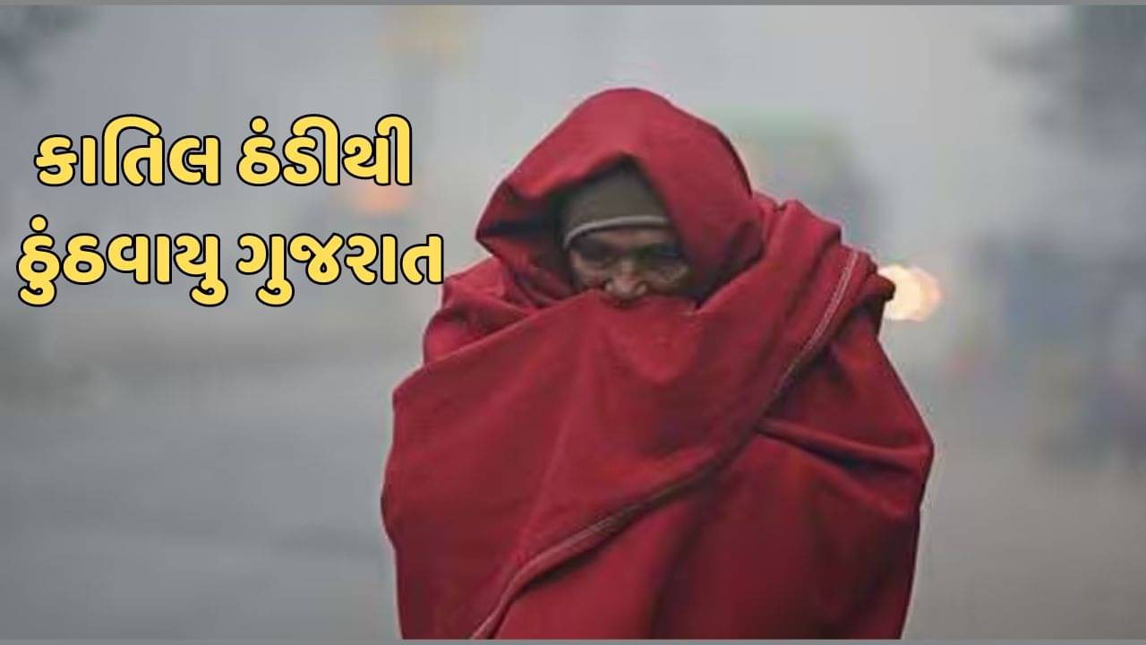 નલિયા ઠુંઠવાયું ! ગુજરાતમાં સૌથી નીચું 8.8 તાપમાન નલિયામાં નોંધાયું, 7 શહરમાં 15 ડિગ્રીથી ઓછુ તાપમાન, જુઓ વીડિયો