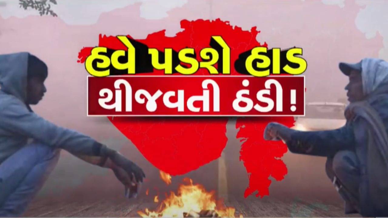 આજનું હવામાન : રાજ્યમાં કડકડતી ઠંડીની શક્યતા, આ જિલ્લાઓમાં 12 ડિગ્રીથી નીચું રહેશે તાપમાન, જુઓ વીડિયો