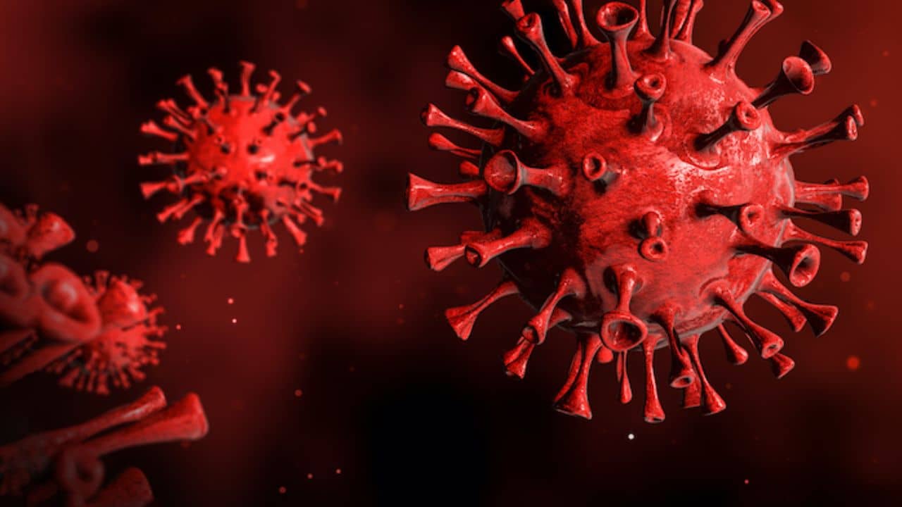 ગુજરાતમાં ફરી કોરોનાની એન્ટ્રી, કોવિડના બે કેસ સામે આવ્યા